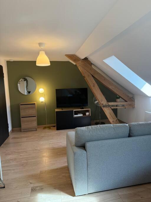Appartement Le Petit Nid De - Parking Prive Colmar