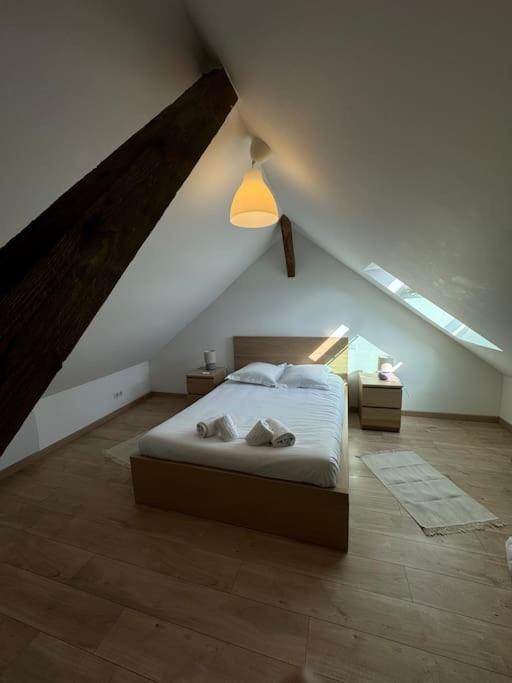 Le Petit Nid De - Parking Prive * Colmar
