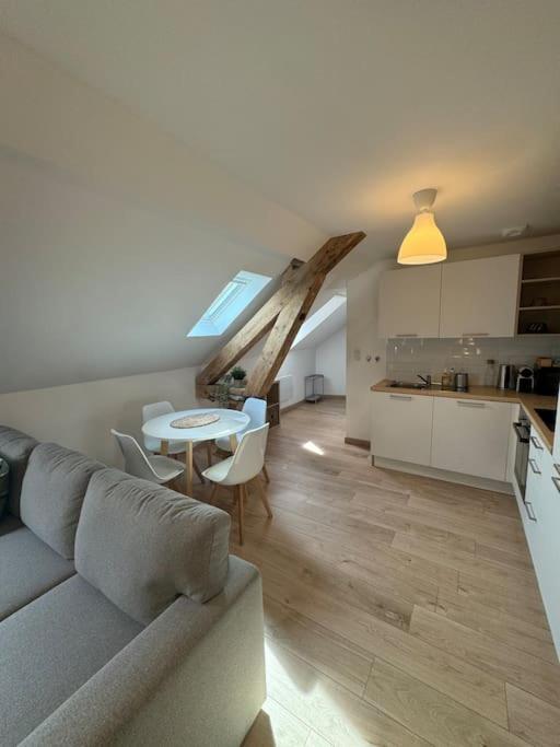 Appartement Le Petit Nid De - Parking Prive Colmar