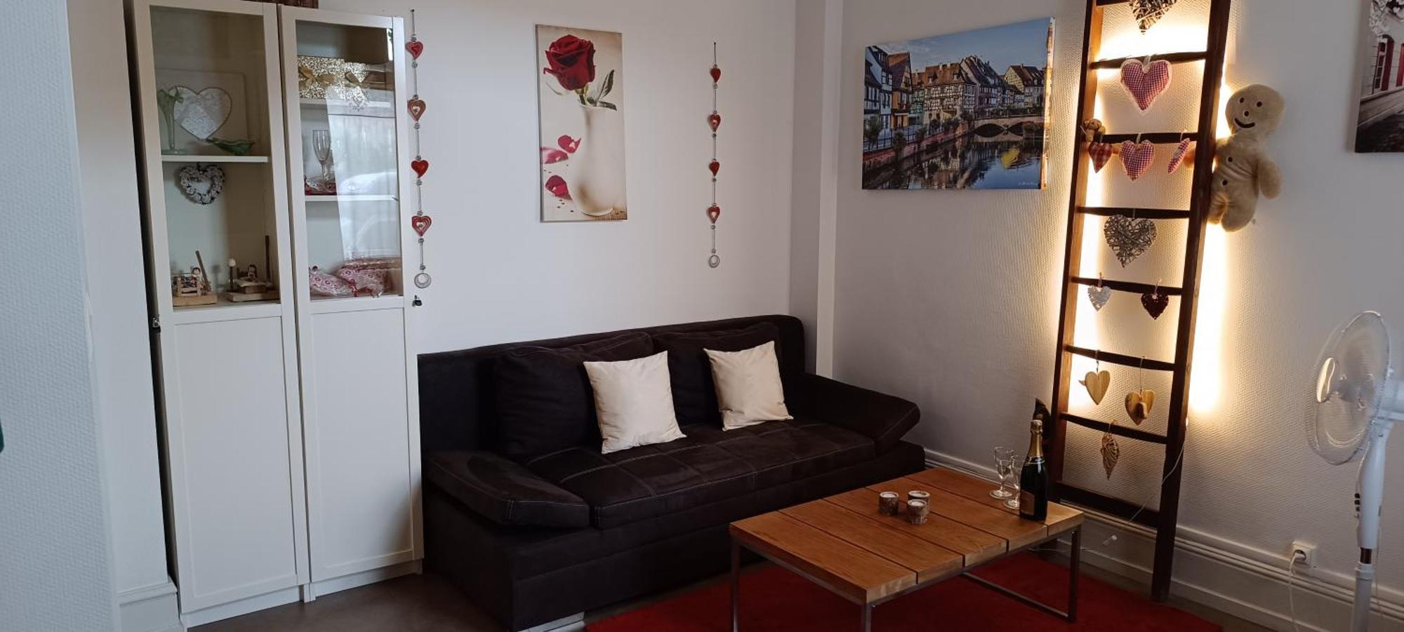 Coeur D'elsass Rappappartement Avec Parking Appartement