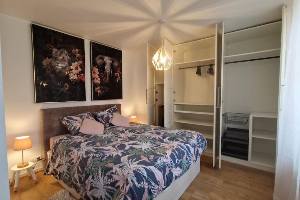 Apartment Modern Jungle - Colmar