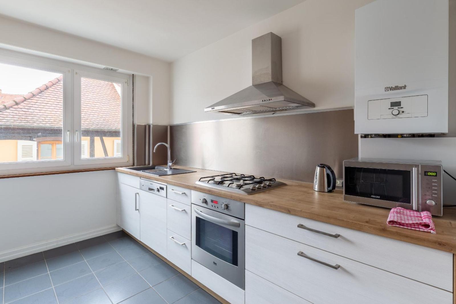 Le Schwendi Apartment Colmar