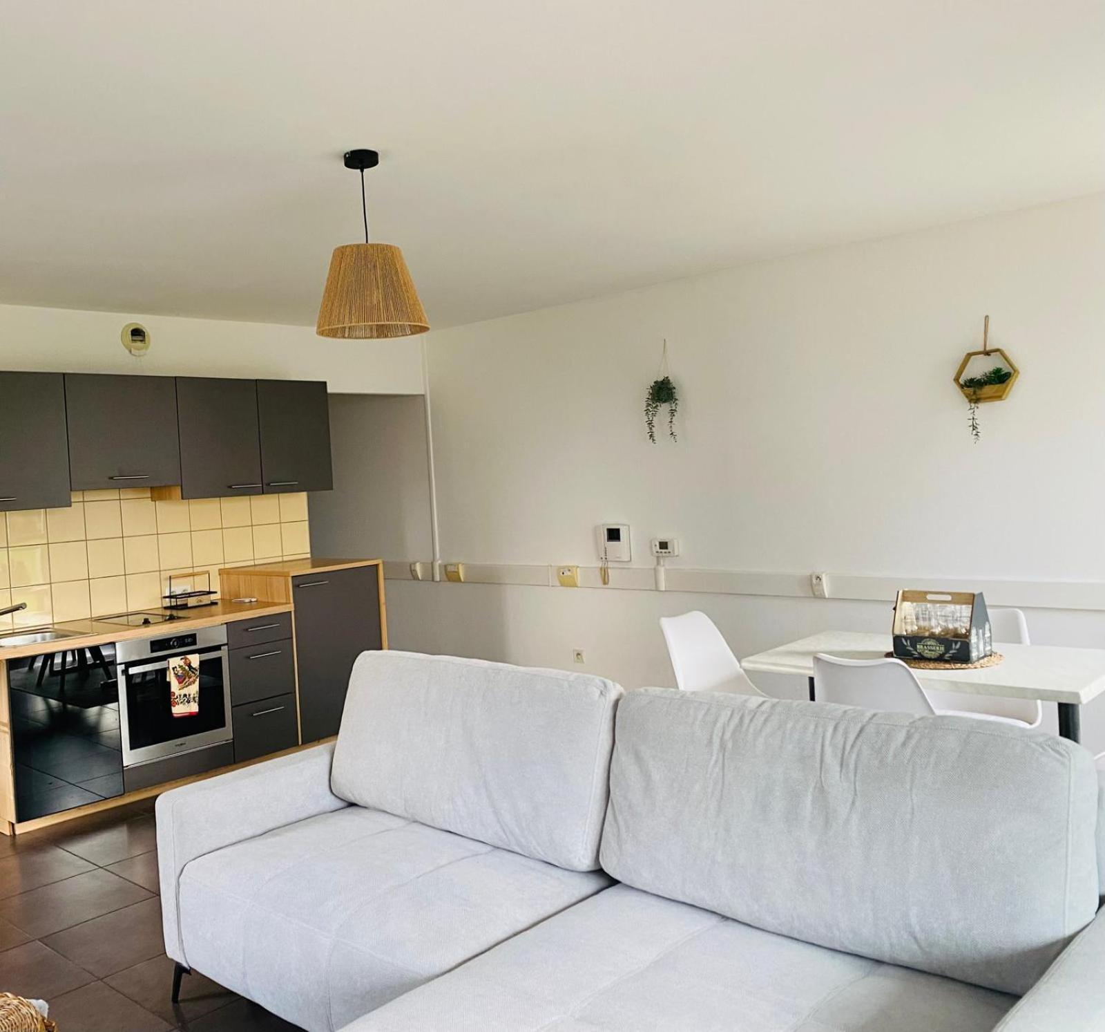 Les Aventures De Madame Bretzel Appartement Colmar