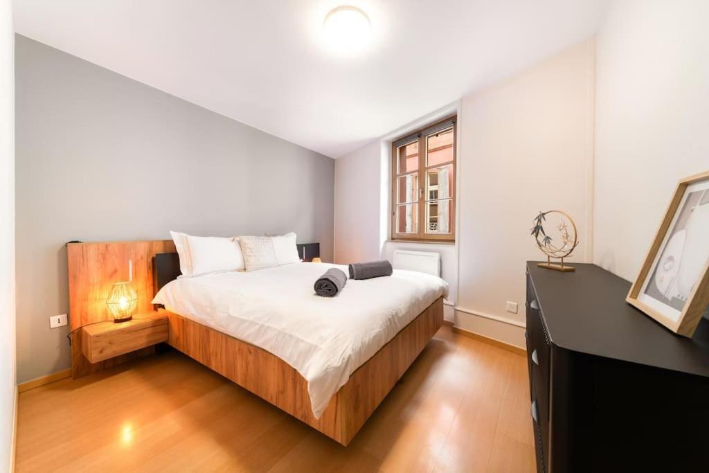 Le Roi Lion Centre Parking Gratuit Apartment *