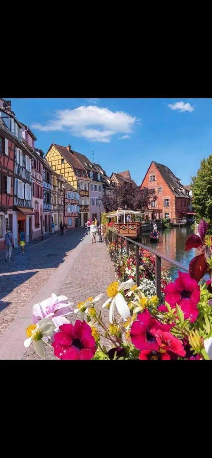 A La Petite Venise Hyper Centre Appartement *