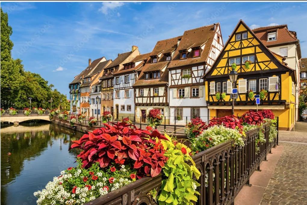 Apartment Centre - Le Schickele *