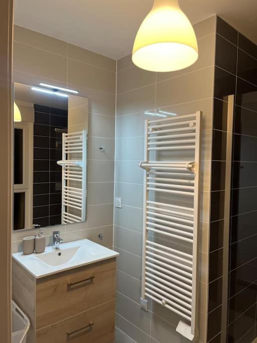 De Charme Neuf Apartment Colmar