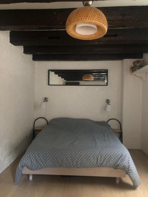 Le Secret Des Tanneurs Apartment Colmar