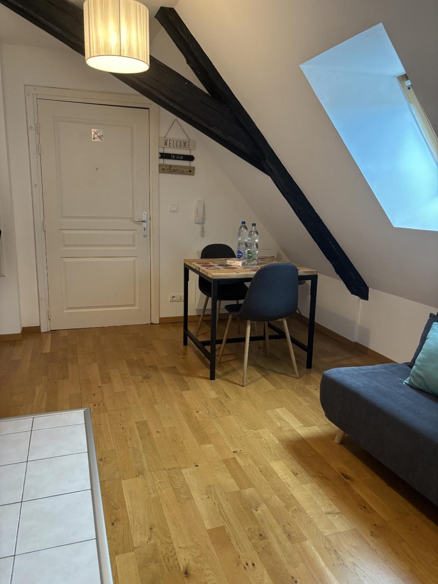 L'ecume Des Jours Appartement Colmar