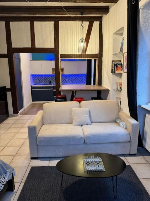 Appartement Schwendi - L'authentique - En Hypercentre Colmar