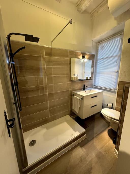 Schwendi - Le Petit Tanneur - En Hypercentre Apartment *