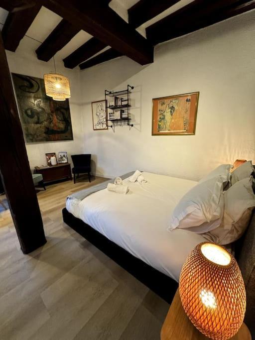 Schwendi - Le Petit Tanneur - En Hypercentre Apartment Colmar