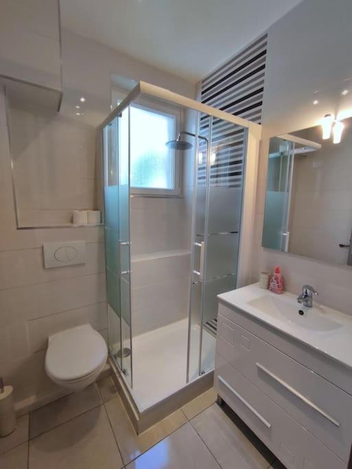 Rama Appartement Colmar