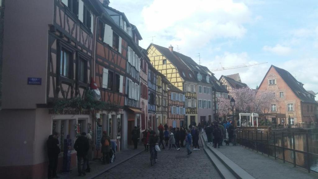 Vauban Apartment Colmar