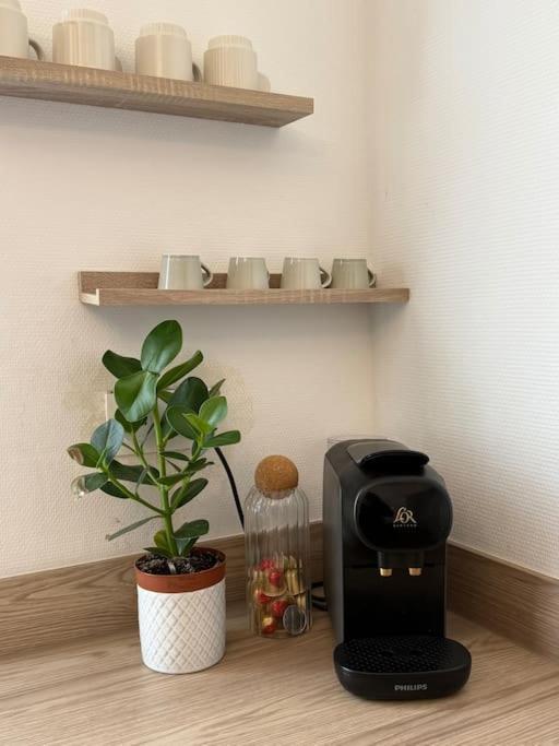 Appartement Lumineux De 92m2 Colmar