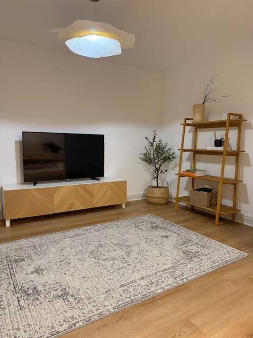 Lumineux De 92m2 Colmar