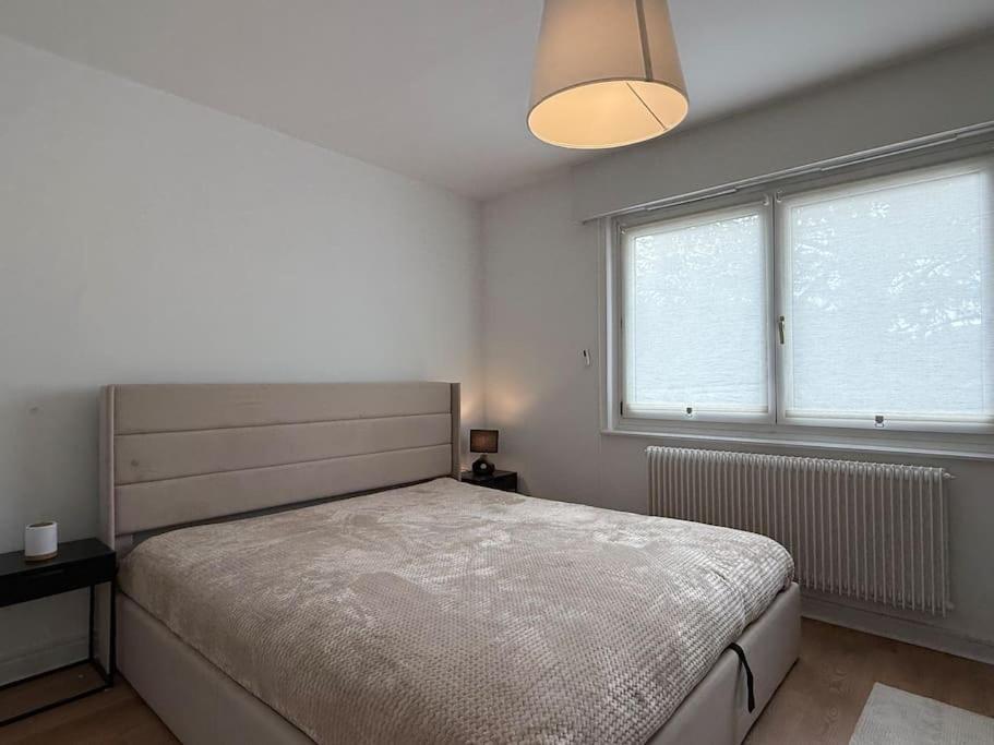 Lumineux De 92m2 Colmar