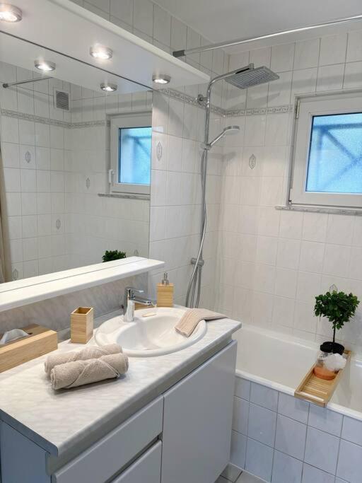 La Petite Luss Appartement Colmar
