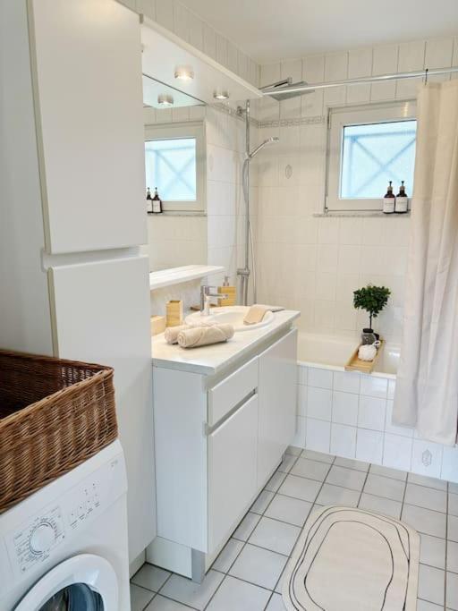 Appartement La Petite Luss Colmar