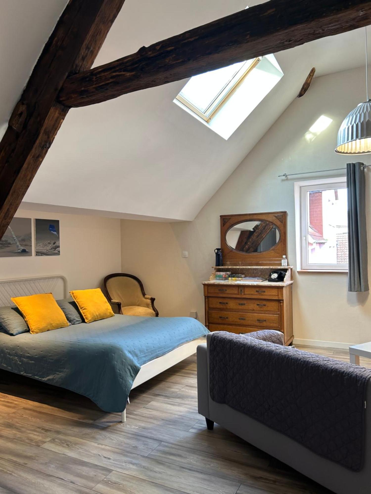 L'ours De Bis Appartement Colmar