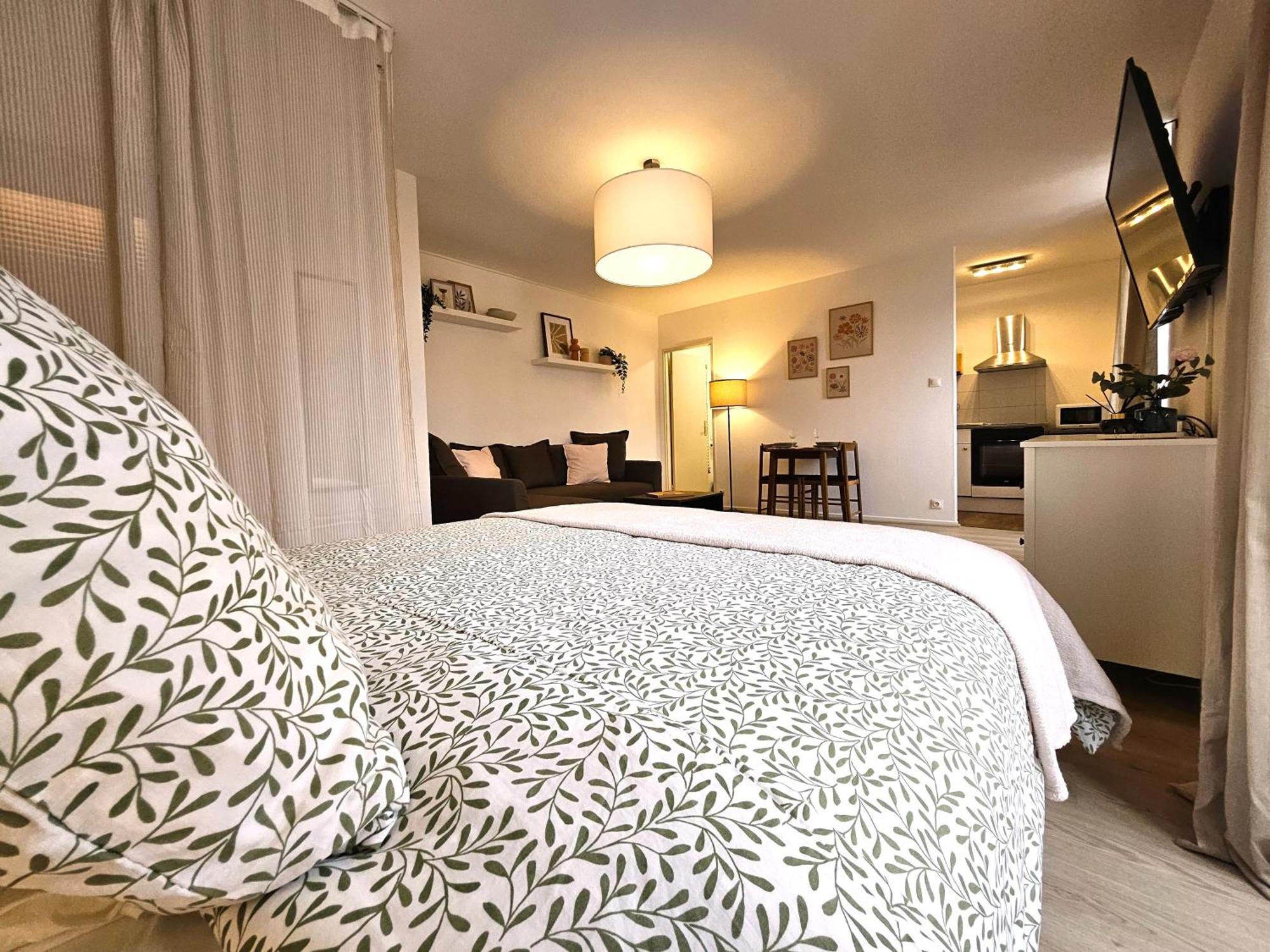 Appartement Cosy- Hyper Centre Colmar