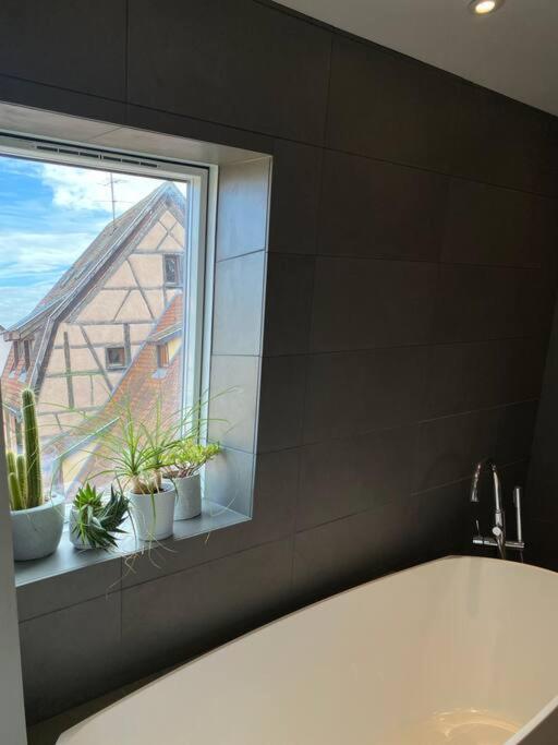 Appartement Les Murmures Des Toits - Hypercentre - Garage Prive Colmar