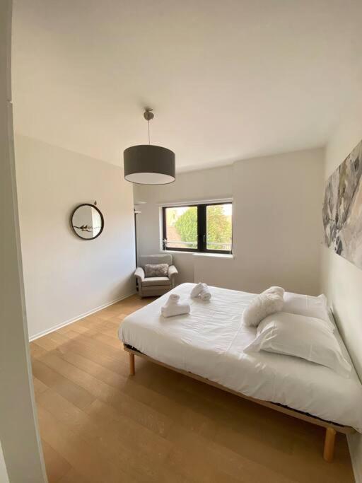 Appartement Les Murmures Des Toits - Hypercentre - Garage Prive