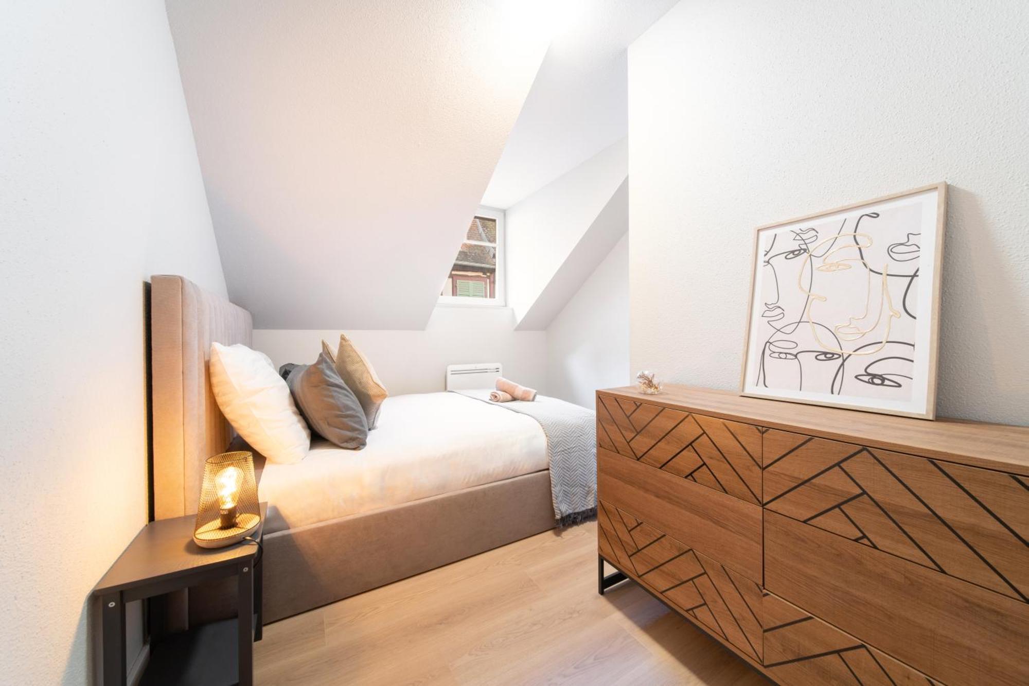 Le Grand Lion Centre Parking Gratuit Apartment Colmar