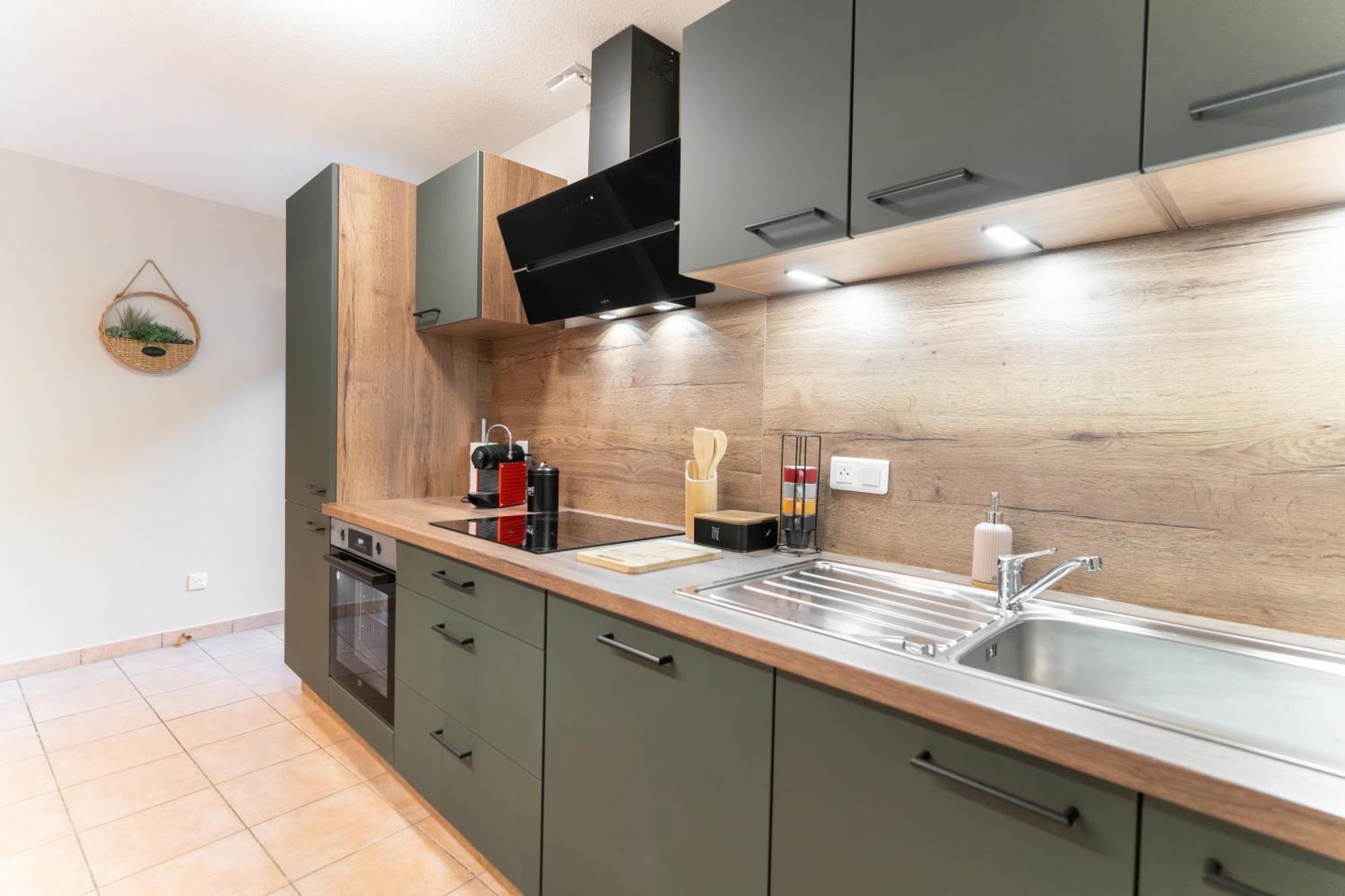 Apartment Le Grand Lion Centre Parking Gratuit Colmar
