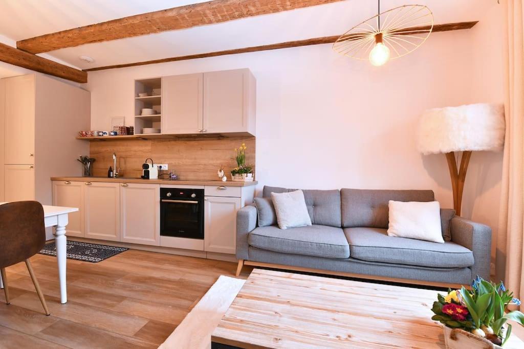 Dessine-moi Un Mouton - 4guests -2br Colmar