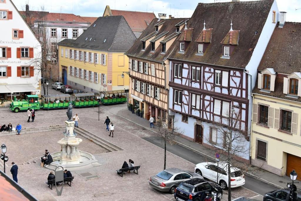 La Vie En Rose - 6p-3br Colmar