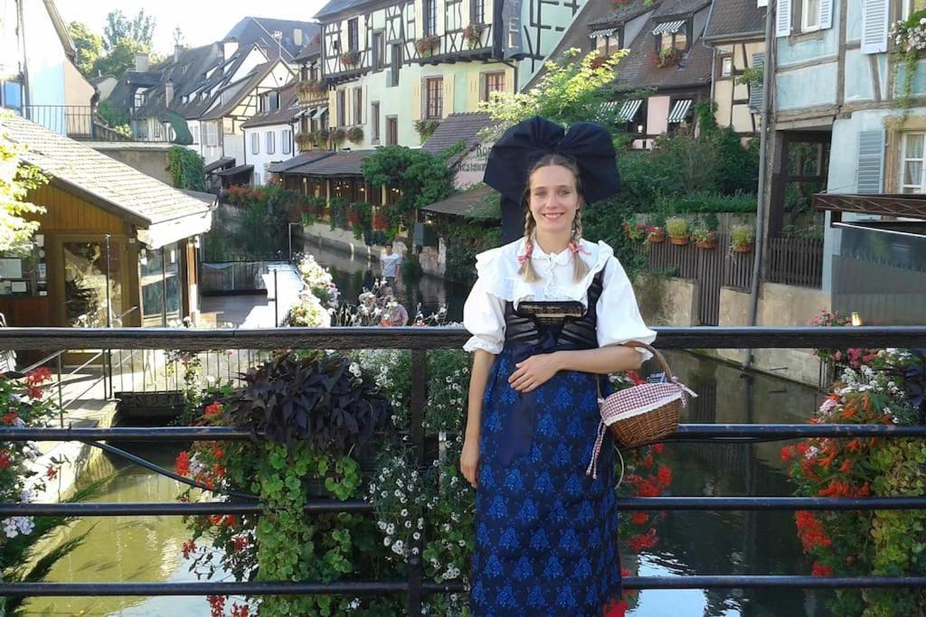 La Vie En Rose - 6p-3br * Colmar