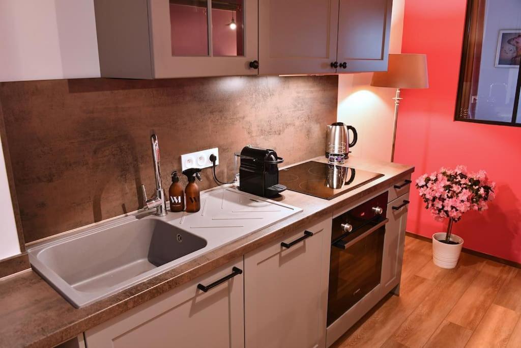 La Vie En Rose - 6p-3br Colmar