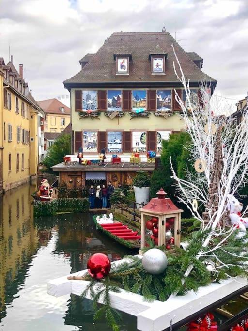 La Vie En Rose - 6p-3br * Colmar