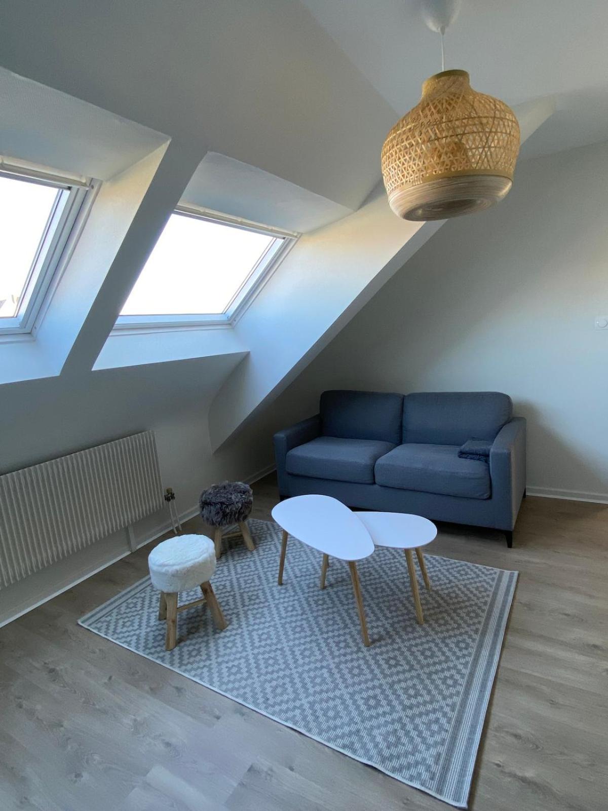 Appartement Hypercentre Colmar