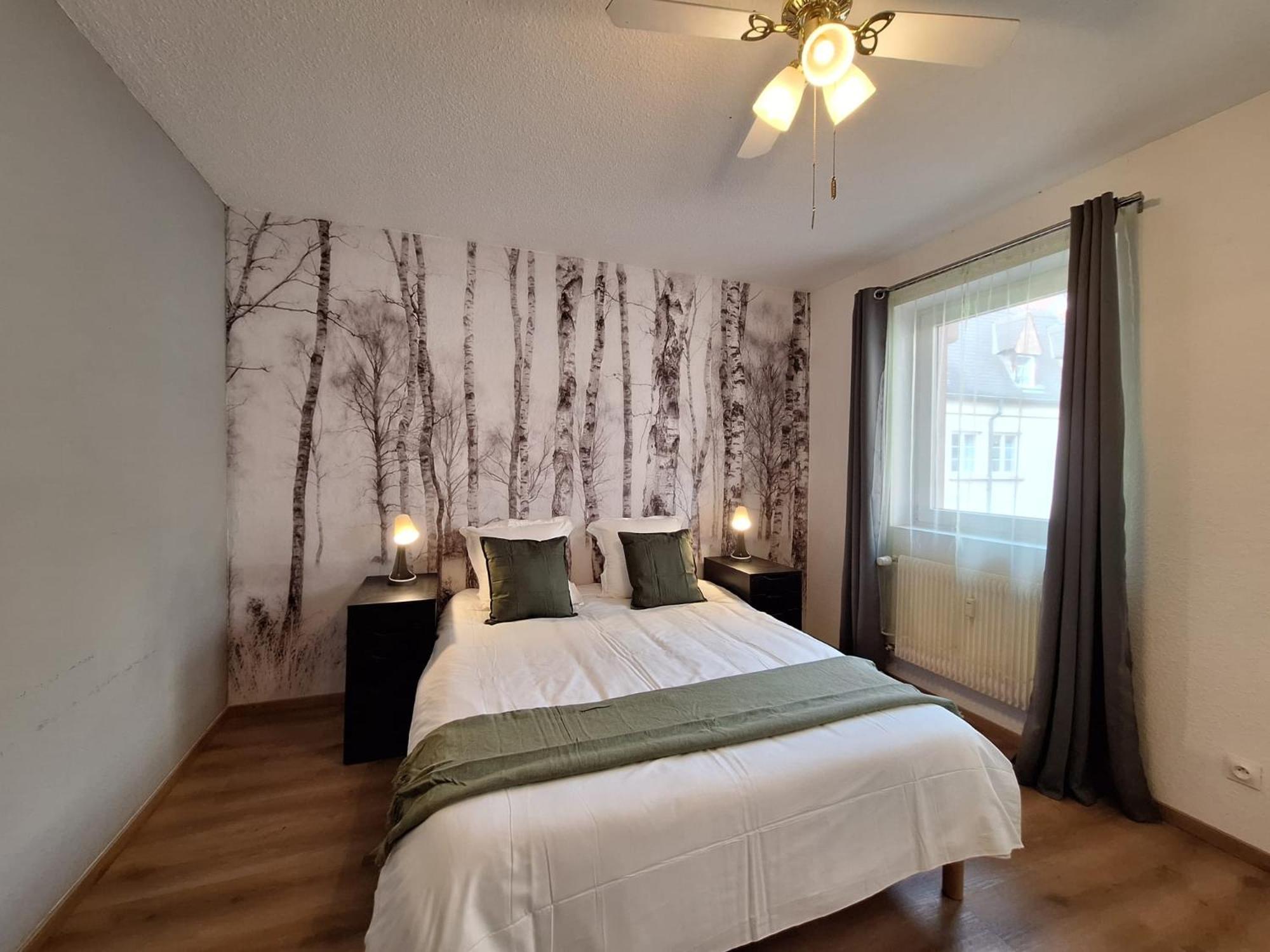 Appartement Le Kuttel Centre Historique Colmar