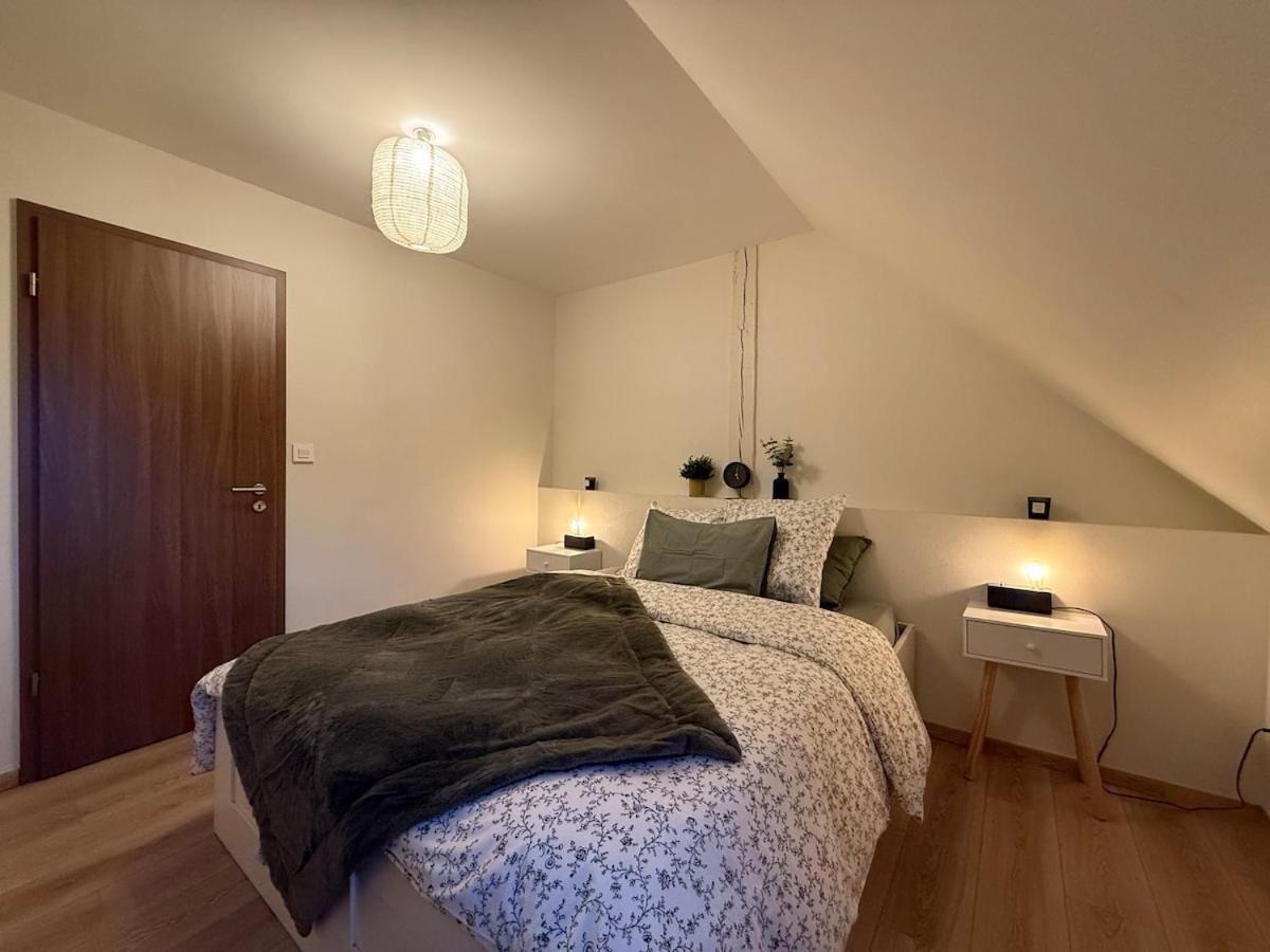 Appartement Proche Centre Avec Parking Colmar