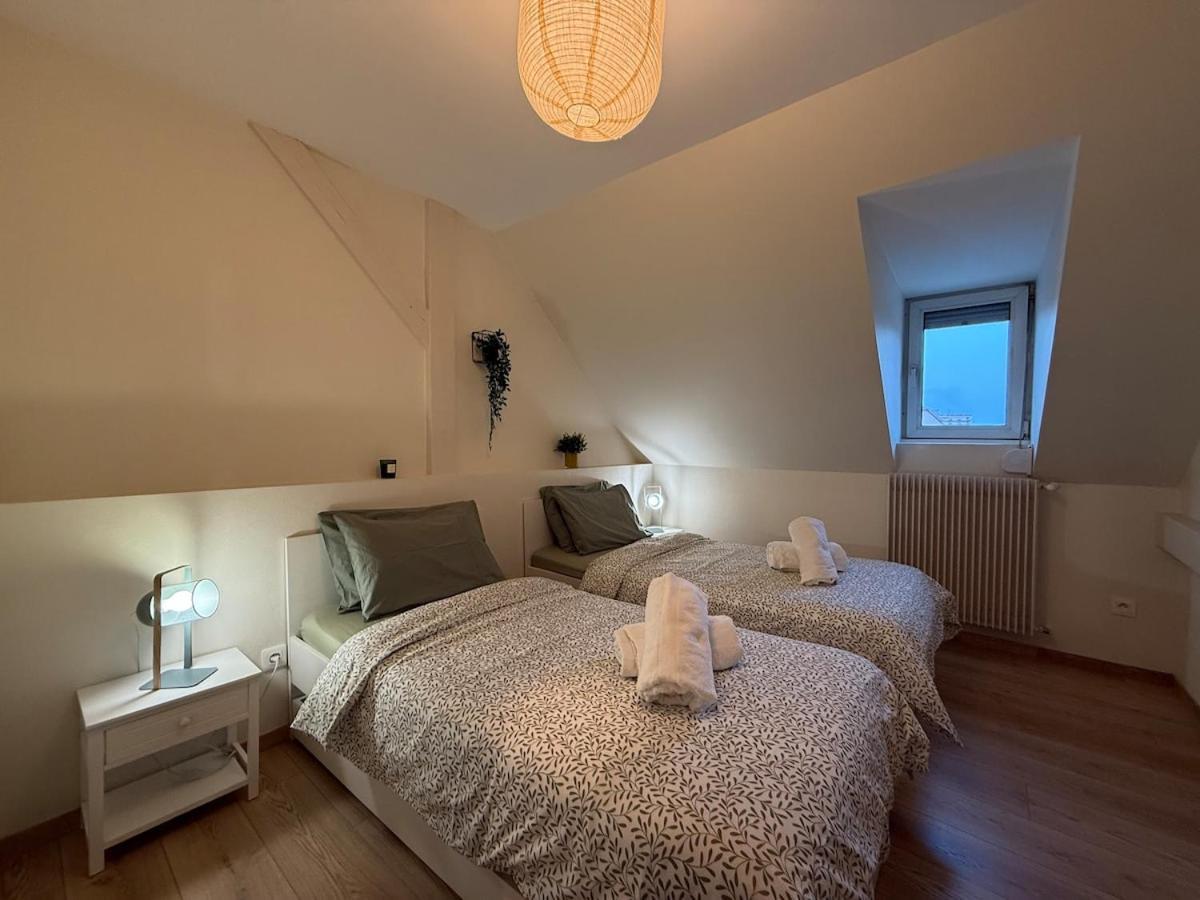 Appartement Proche Centre Avec Parking Colmar