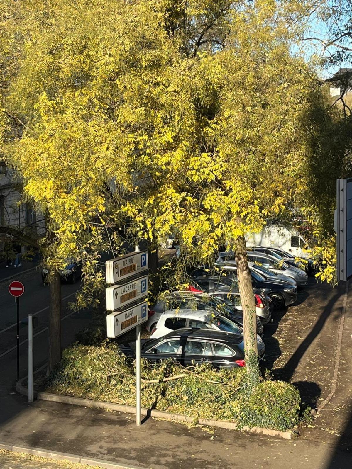 Maison Diane Appartement Cosy A Colmar Centre Parking A 50M