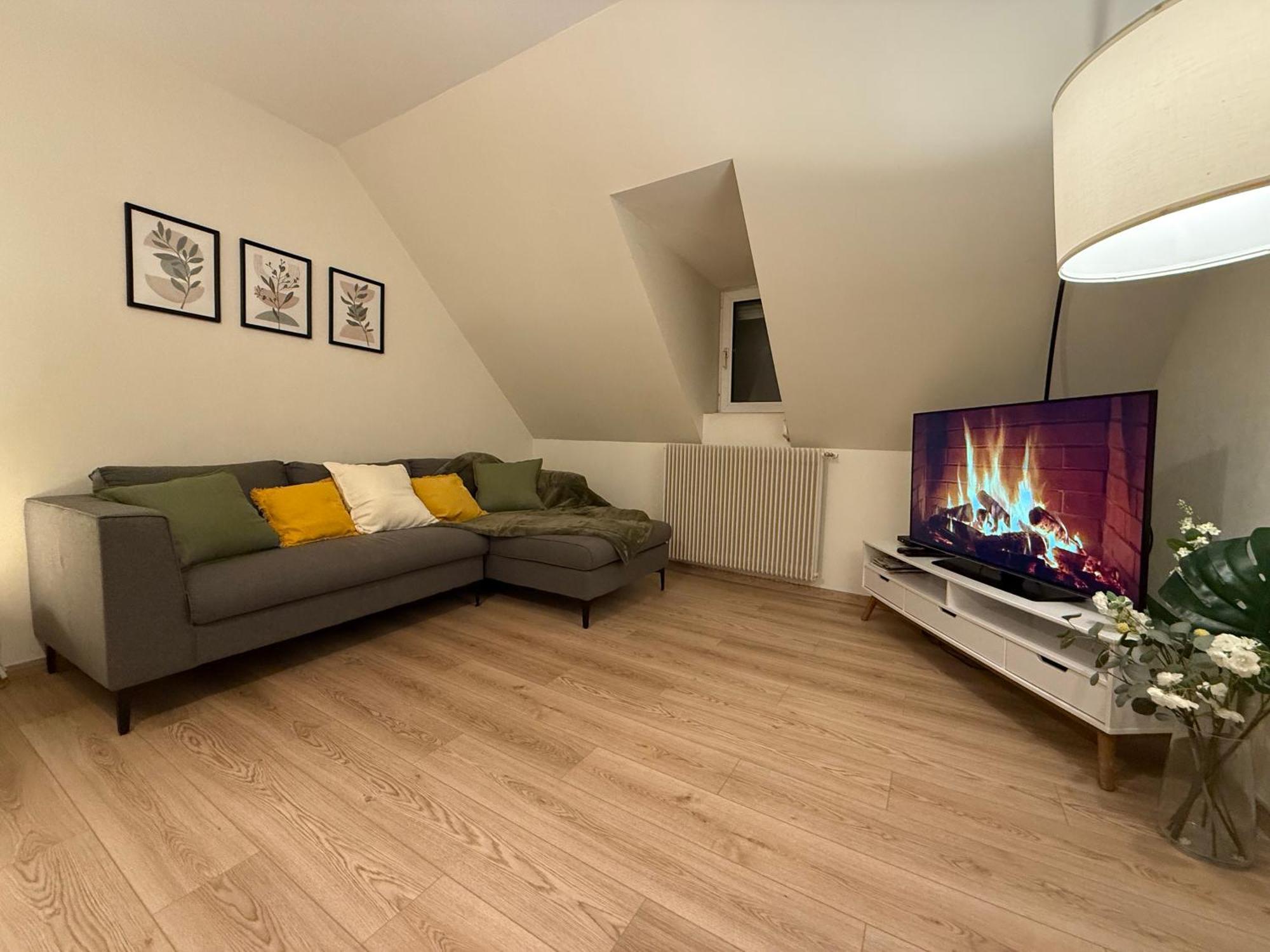 Proche Centre Avec Parking Appartement Colmar