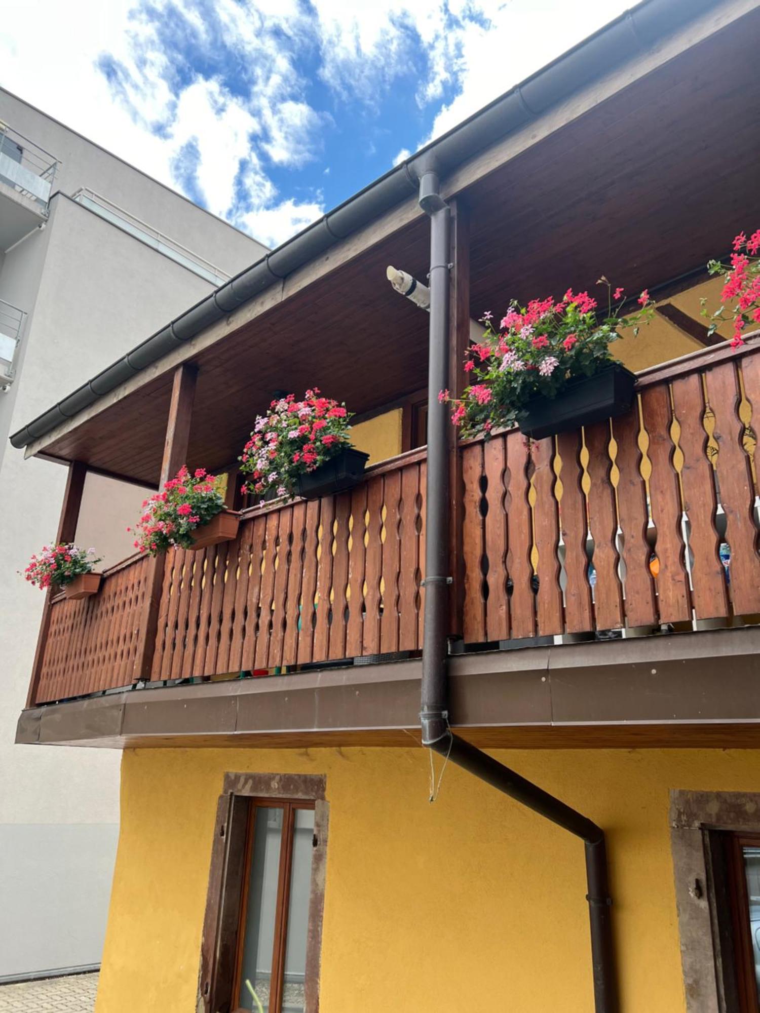 Colmar Charmant Logement Colmar