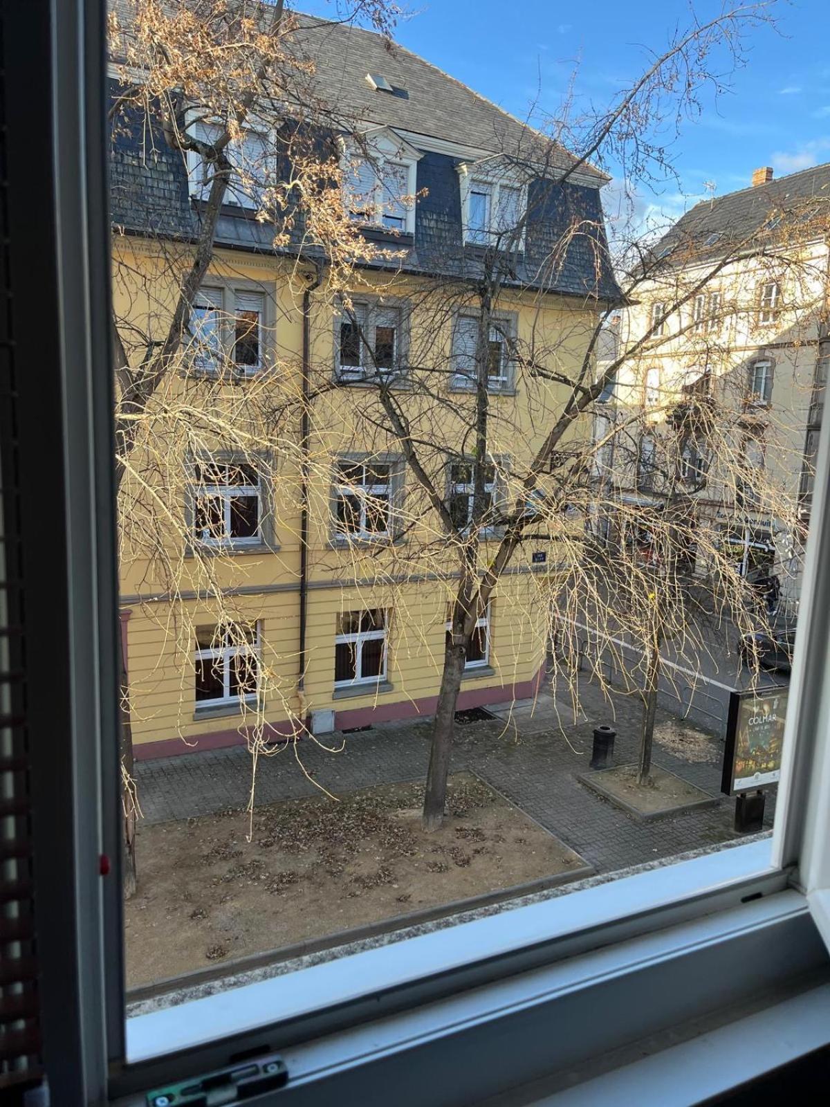 Maison Diane Appartement Cosy A Colmar Centre Parking A 50M Colmar