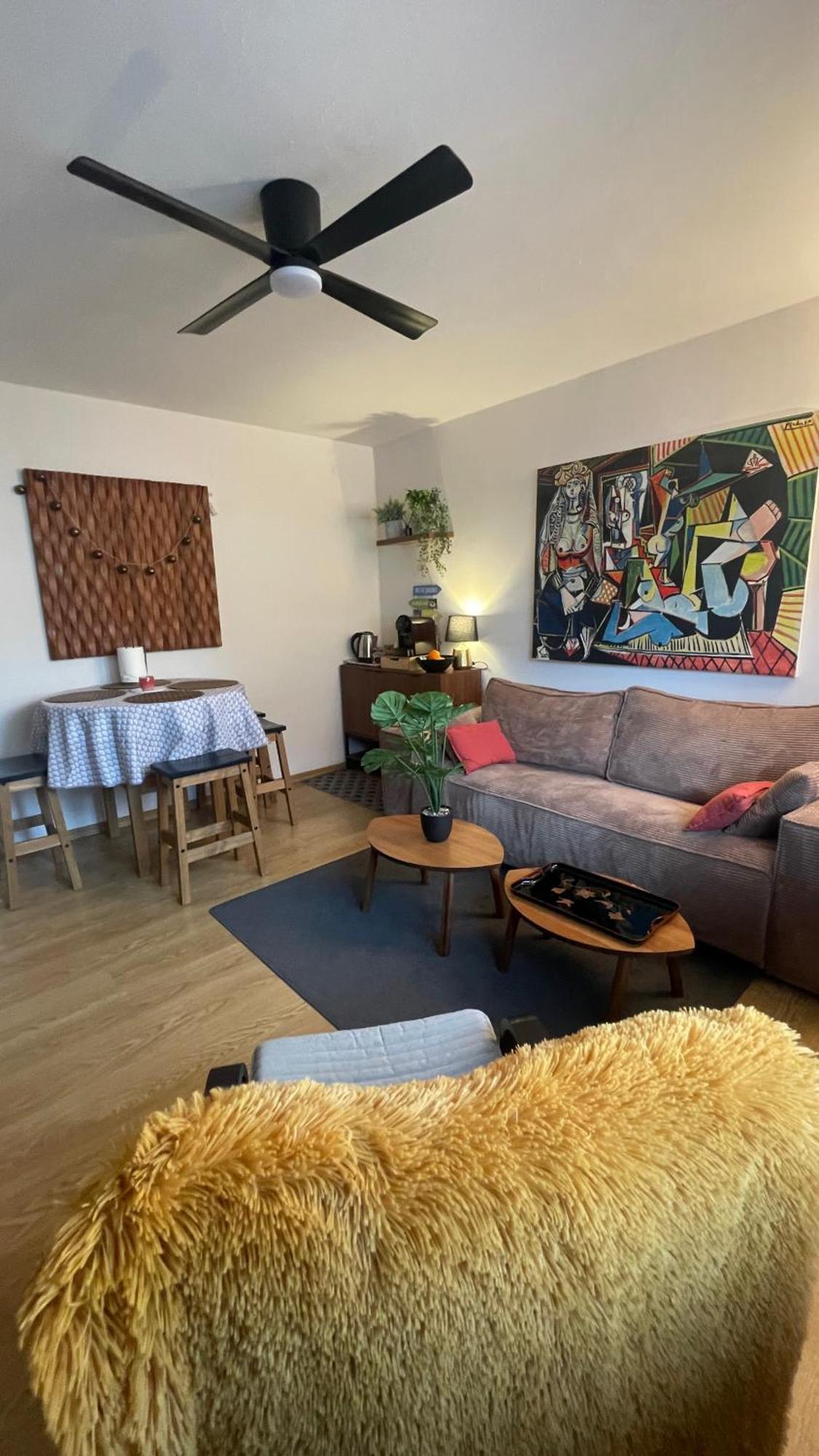 Maison Diane Appartement Cosy A Colmar Centre Parking A 50M Appartement *