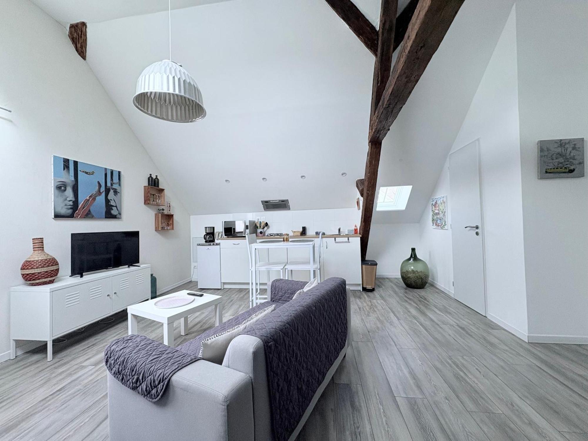 Appartement L'ours De Bis Colmar