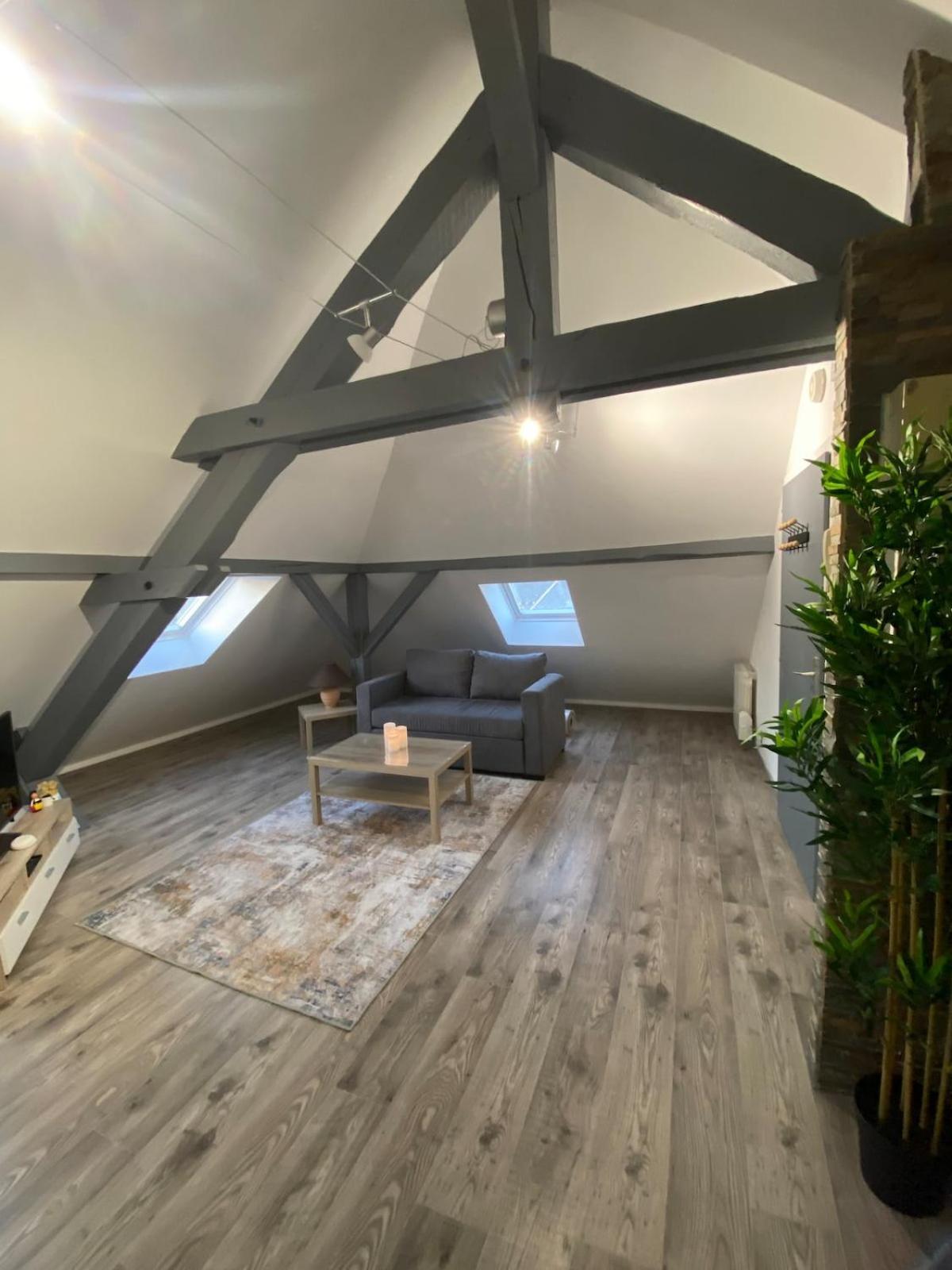 Appartement Au Pays Des Cigognes *