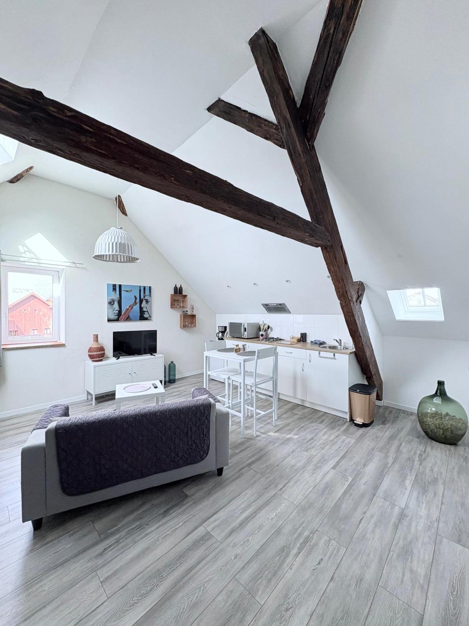 Appartement L'ours De Bis Colmar