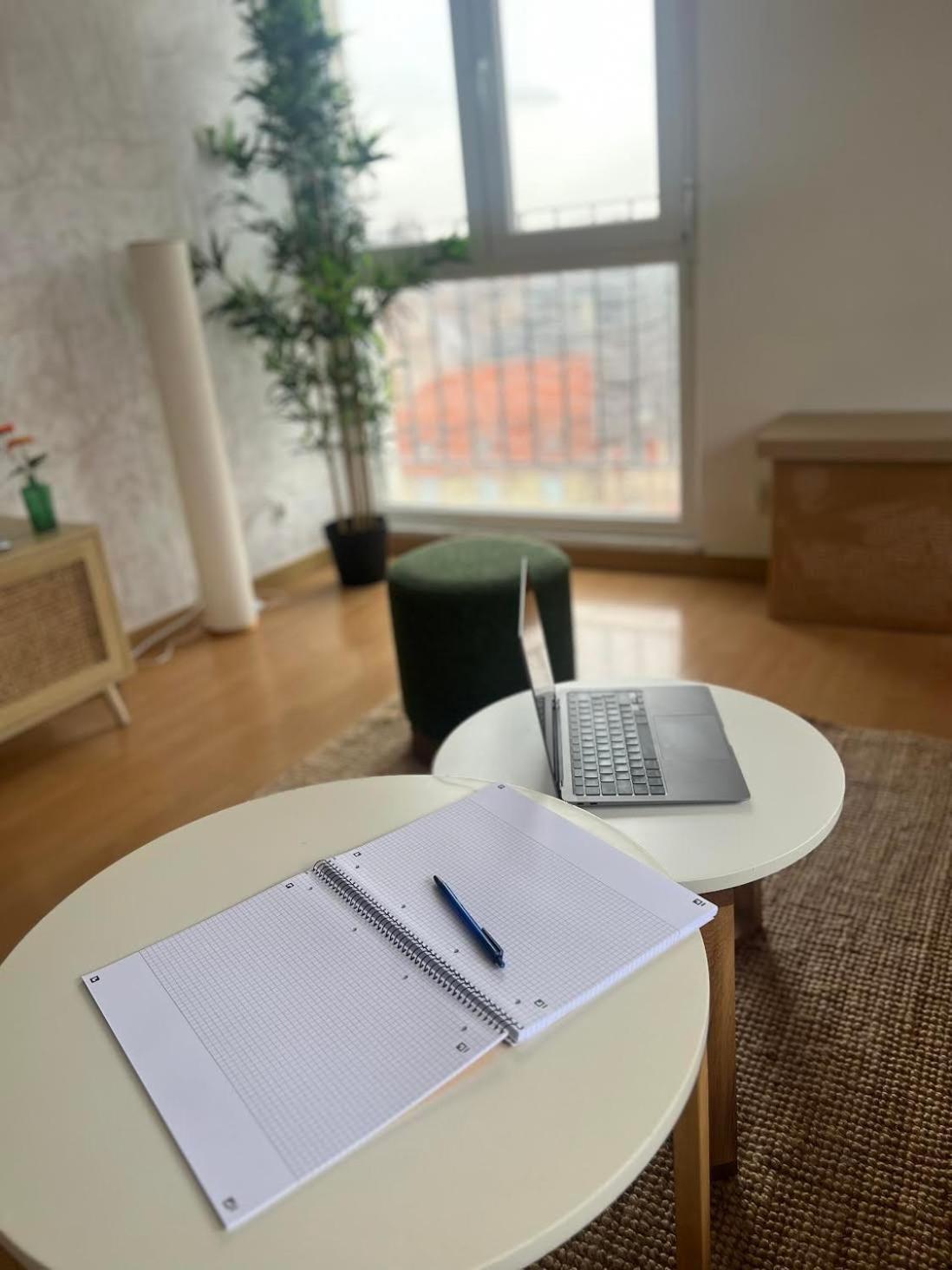 Balneo, Lumineux, Confort Appartement Colmar