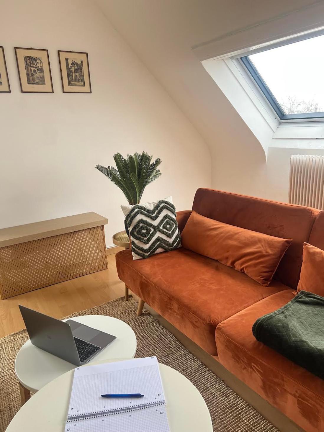 Appartement Balneo, Lumineux, Confort Colmar