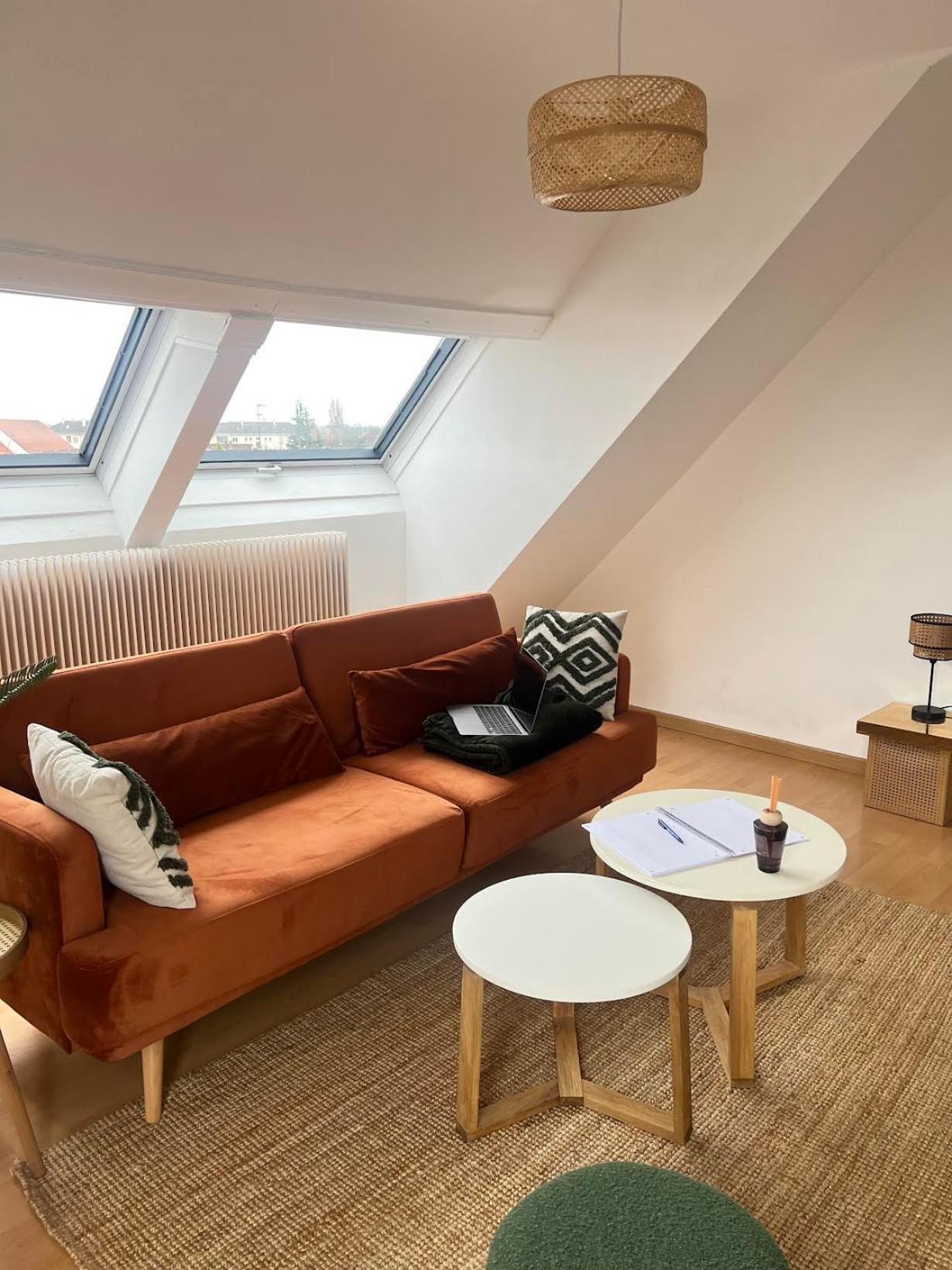 Appartement Balneo, Lumineux, Confort Colmar