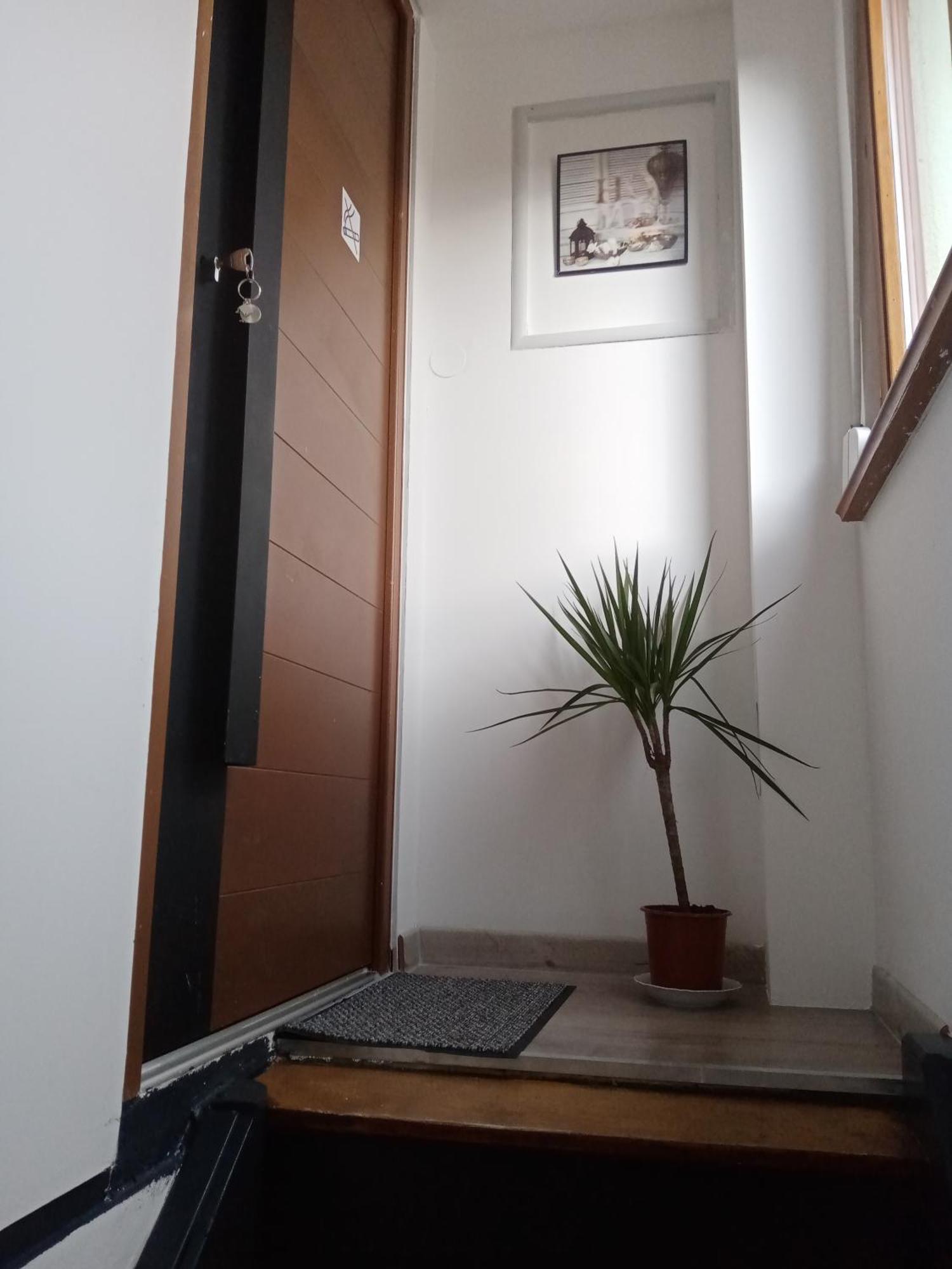 Jacuzzi Au Centre Apartment